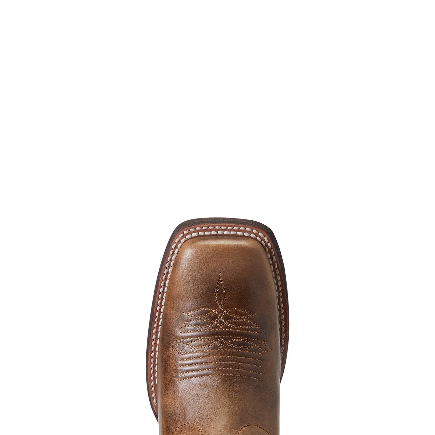 Circuit Savanna Size 6.5