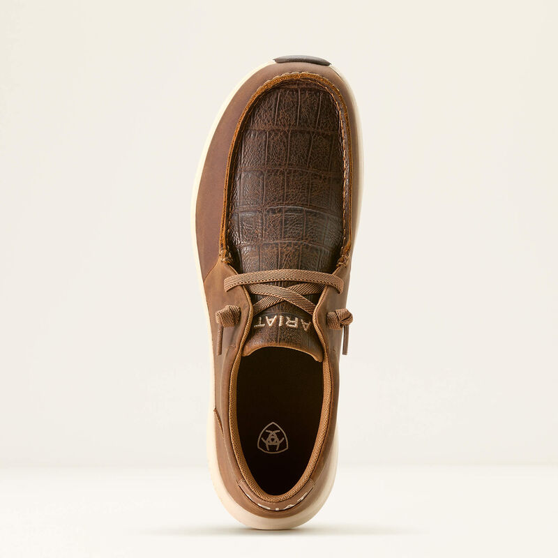 Hilo Buckeye