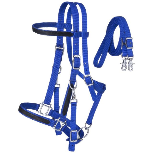 Nylon Halter/Bridle Combo