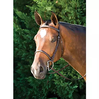Gatsby Hunt Bridle