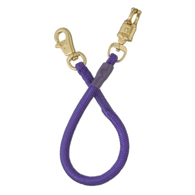 Bungee Trailer Tie