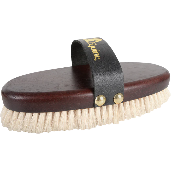 CLEQ Body Brush