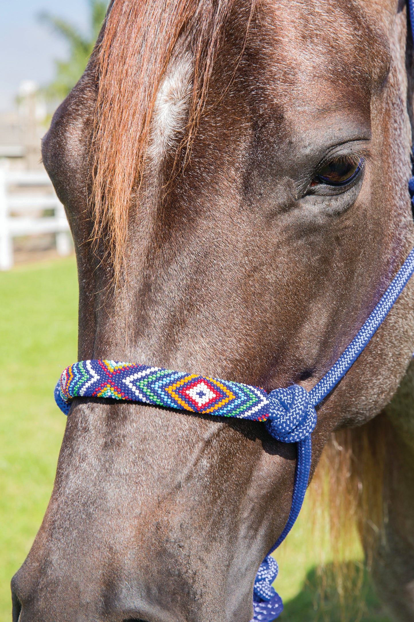 Professionals Choice Beaded Rope Halter