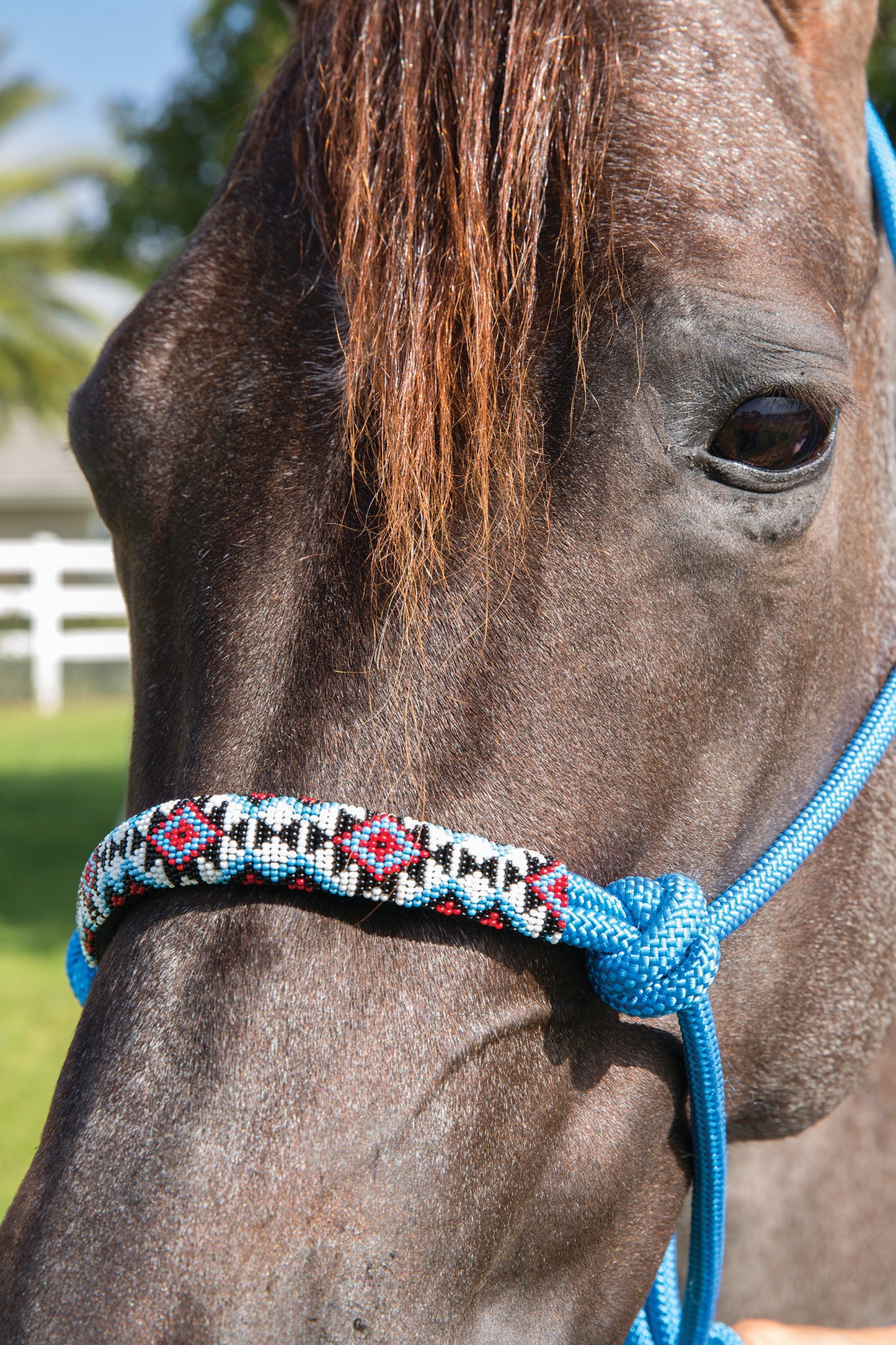 Professionals Choice Beaded Rope Halter
