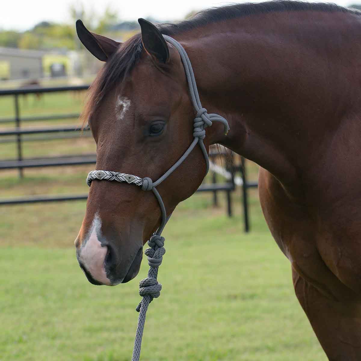 Professionals Choice Beaded Rope Halter