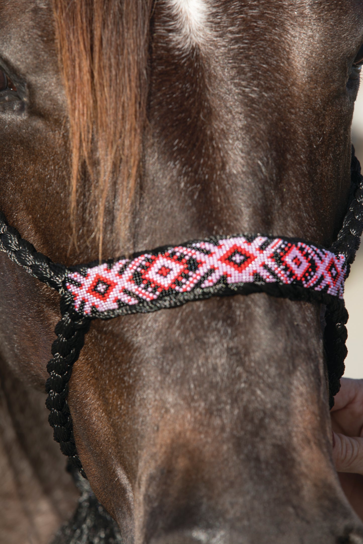 Professionals Choice Beaded