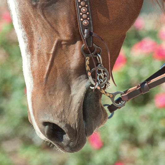 Sherry Cervis Barrel Bit Short Shank Twisted Wire