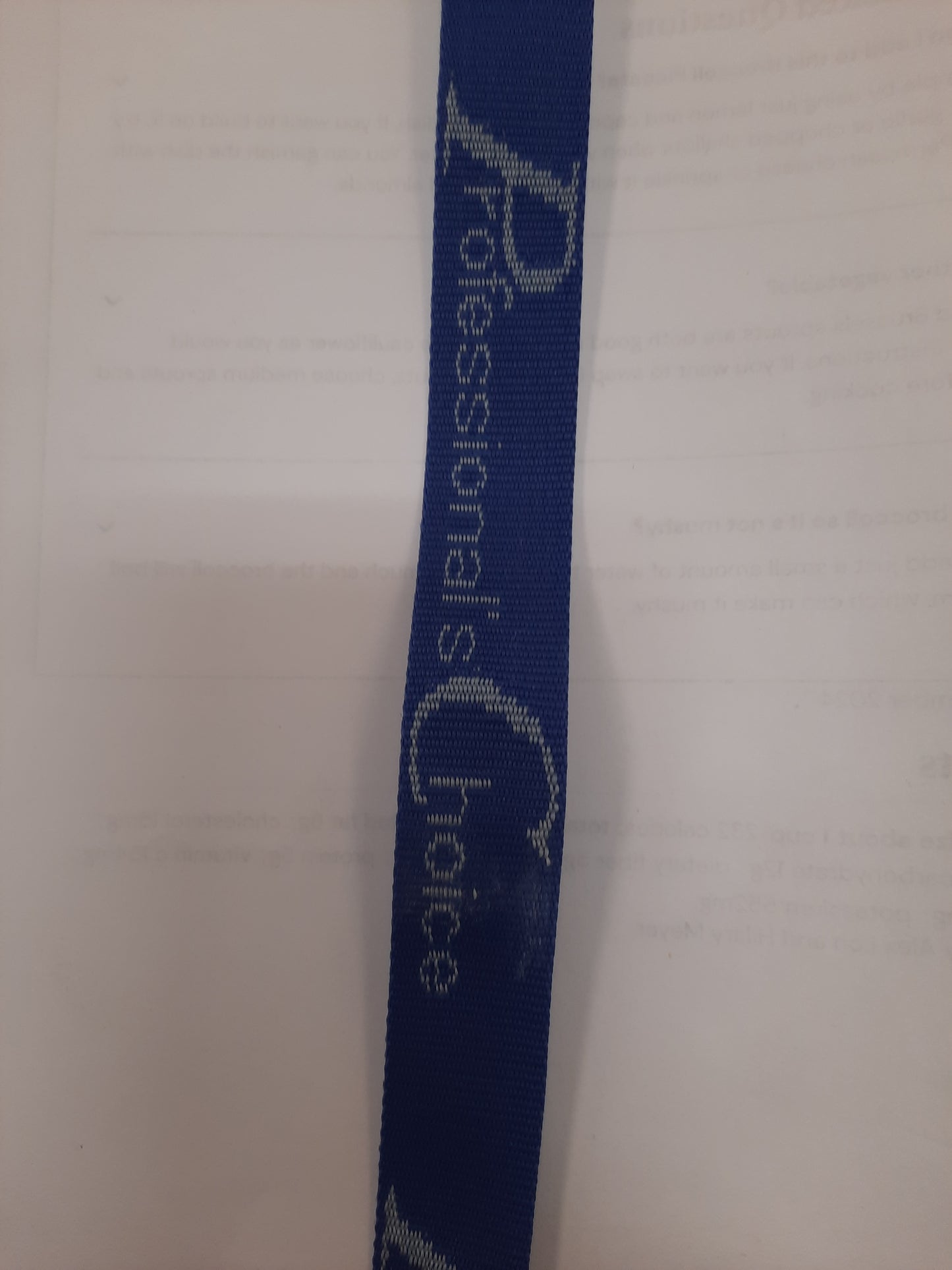 PC Bucket Straps