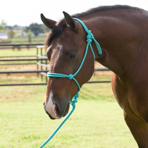 Professionals Choice Rope Halter w/8ft lead