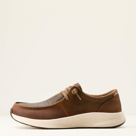 Hilo Buckeye