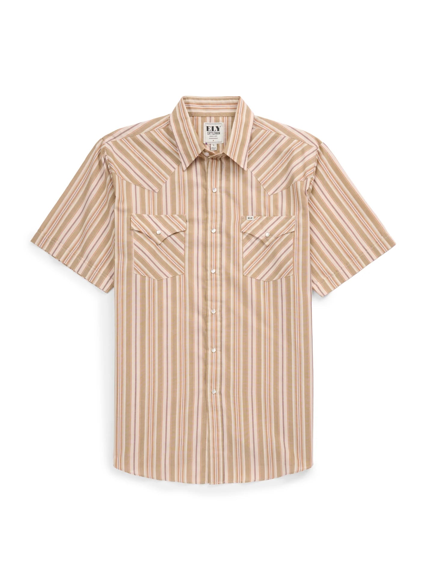 EW Mens Brown/Olive stripe Short Sleeve Snap