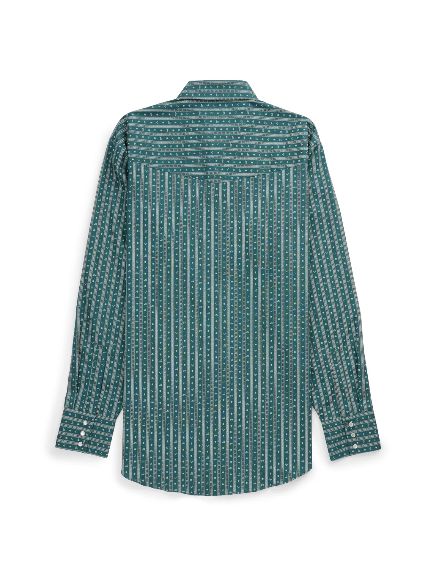 Ely Walker Mens Green Vertical Stripe/Print Snap Shirt