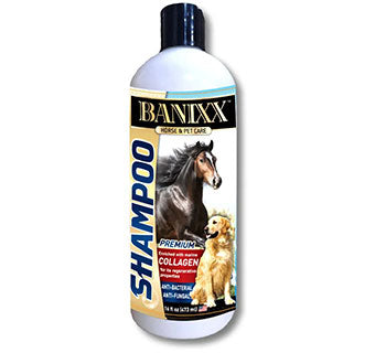 Banixx Shampoo