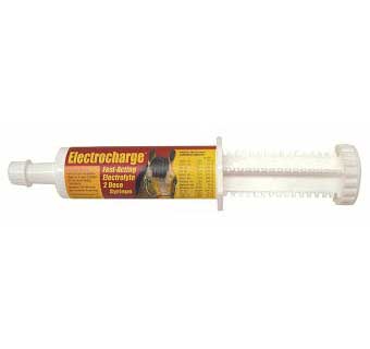 Finish Line Electrocharge Electrolyte Paste