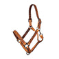 Apple Blossom Hand Tooled Floral Leather Halter