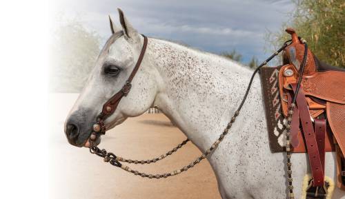 PC Romal Reins Brown/Natural