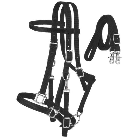 Nylon Halter/Bridle Combo
