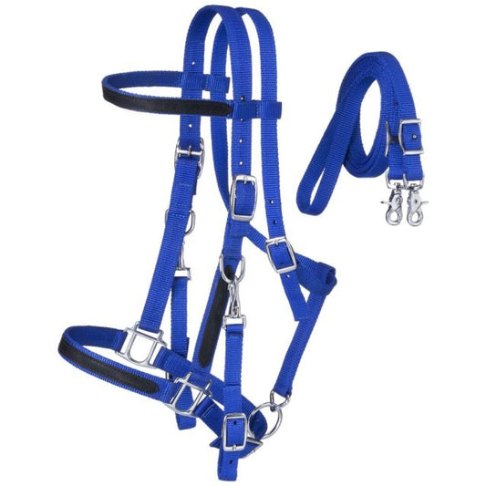 Nylon Halter/Bridle Combo