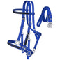 Nylon Halter/Bridle Combo