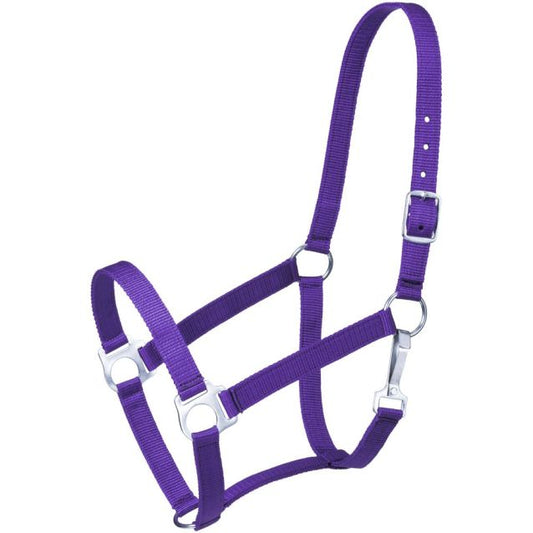 Nylon Pony Halter