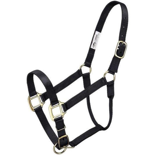 Premium Poly Nylon Halter