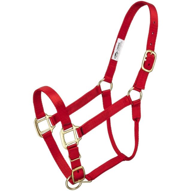 Premium Poly Nylon Halter