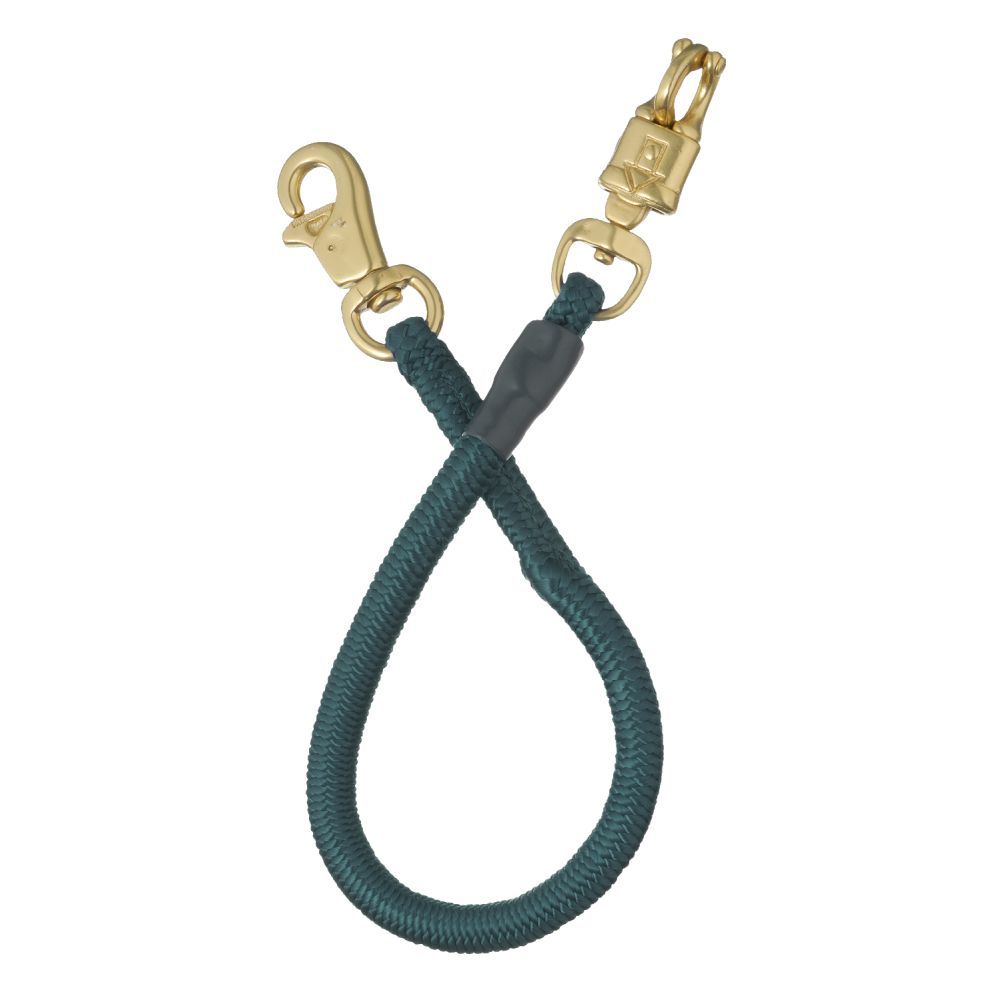 Bungee Trailer Tie