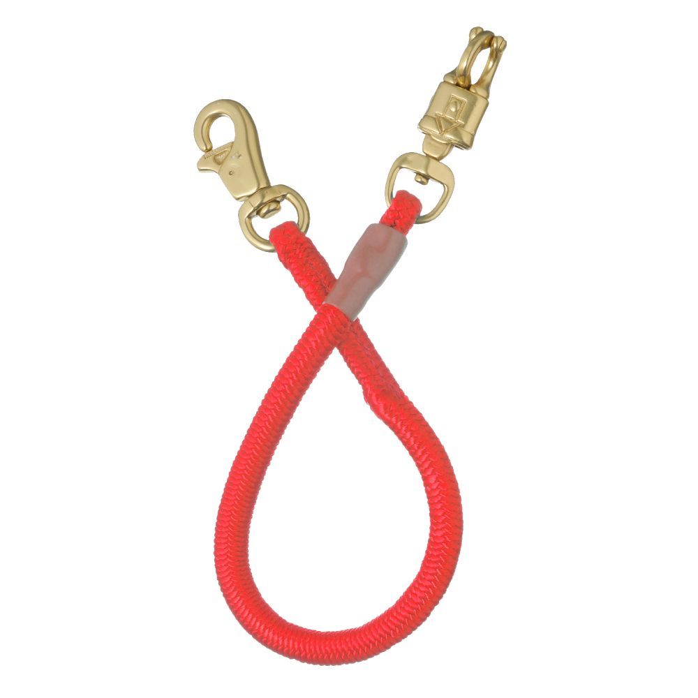 Bungee Trailer Tie