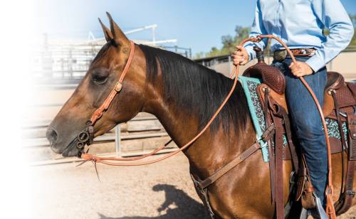PC Harness Leather Romal Reins