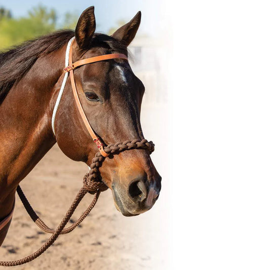 Professionals Choice Loping Hackamore