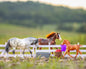 Playful Pony Family