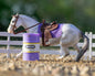 Breyer Barrel Racing Set