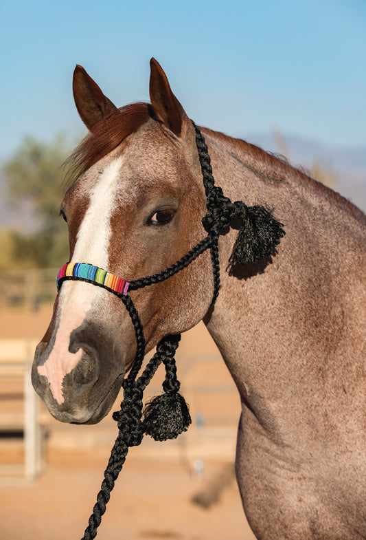 Professionals Choice Beaded