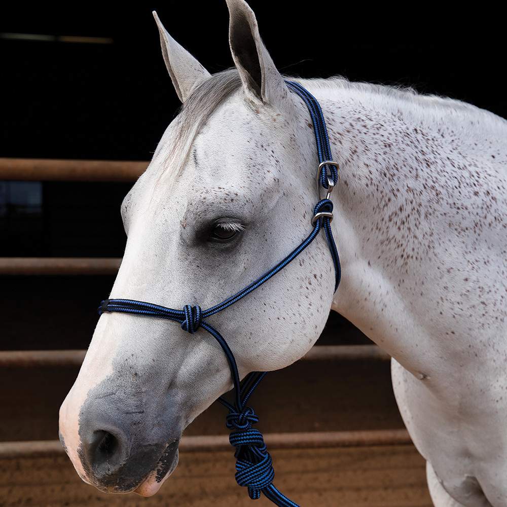 Professionals Choice Easy-On Rope Halter