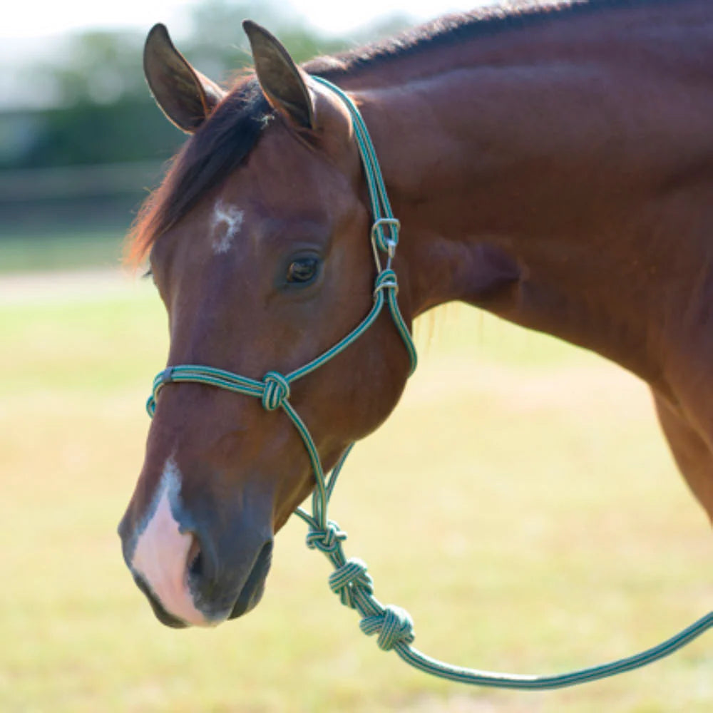 Professionals Choice Easy-On Rope Halter