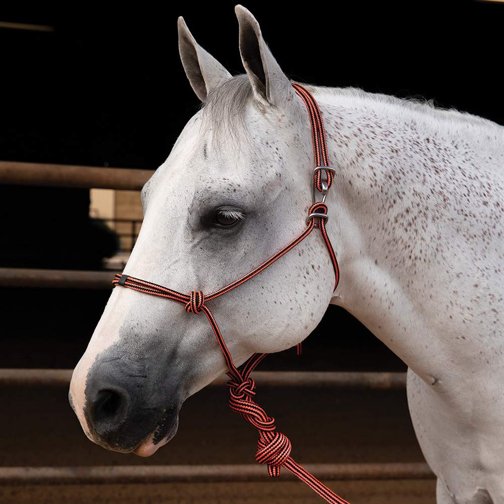 Professionals Choice Easy-On Rope Halter