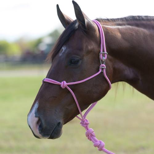 Professionals Choice Easy-On Rope Halter