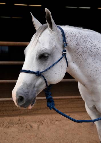 Professionals Choice Easy-On Rope Halter
