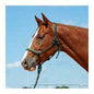 Cashel Braided Nose Rope Halter