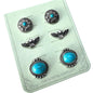 Silver Turquoise Earring set
