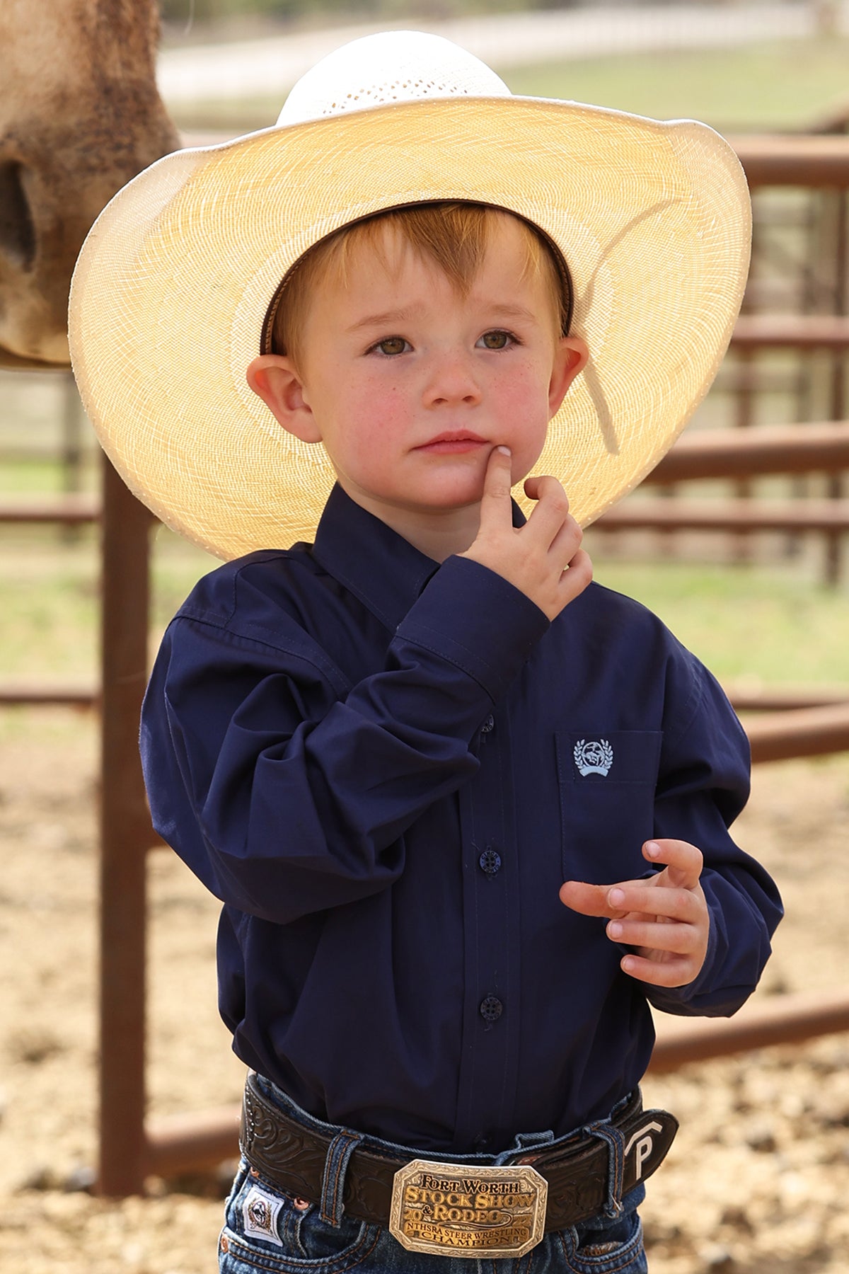 Cinch Toddler Boys Navy Solid Long Sleeved Shirt
