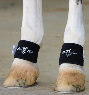 Professional's Choice 2XCool Pastern Wraps