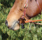 Professionals Choice Nylon Bit Hobble Black