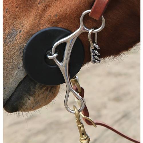 Brittany Pozzi Long Shank Twist Barrel Bit