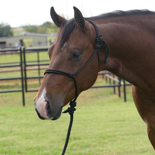 Professionals Choice Rope Halter w/8ft lead