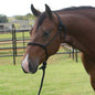 Professionals Choice Rope Halter w/8ft lead