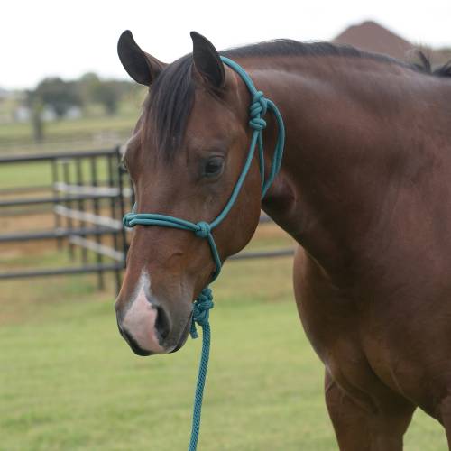 Professionals Choice Rope Halter w/8ft lead