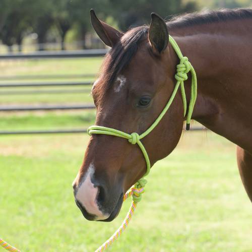 Professionals Choice Rope Halter w/8ft lead