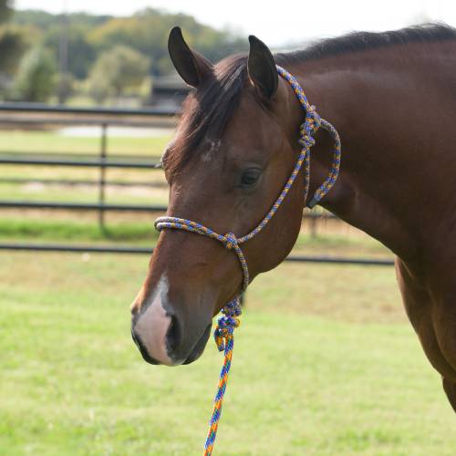 Professionals Choice Rope Halter w/8ft lead