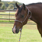 Professionals Choice Rope Halter w/8ft lead